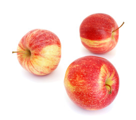 Apples