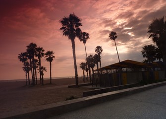 Obraz premium Summer evening in Venice beach