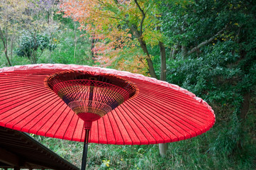 赤い日傘