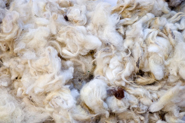 Wool