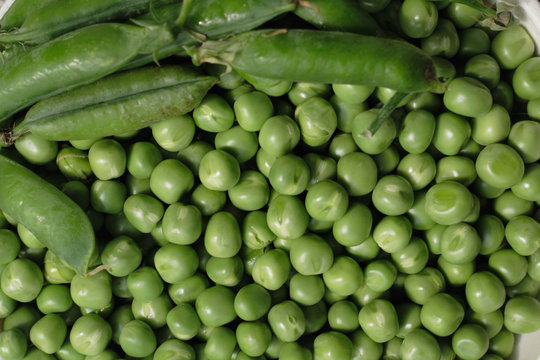 green pea
