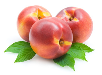 nectarines
