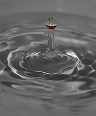 wassertropfen