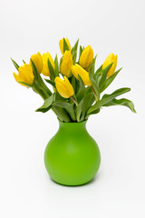 Gelbe Tulpen