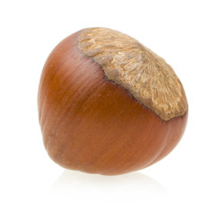 hazelnut