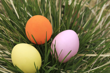 Bunte Ostereier in grünem Gras