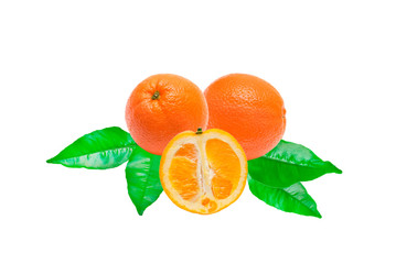 orange isolated on white background