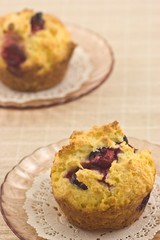 Cranberry muffins