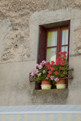 Fototapeta na wymiar Geraniums On A Window Sill