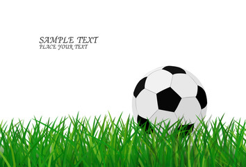 Obraz premium Football on green grass with text area copyspace