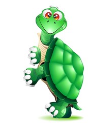 Tartaruga Cartoon con Pannello-Turtle Cartoon Panel-Vector