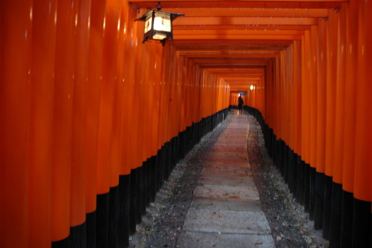 Torii gates of inari shrine in Kyoto, Japan