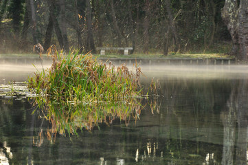 Fototapete bei efototapeten.de bestellen   