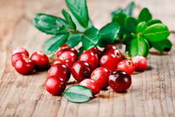 Fresh red cranberries