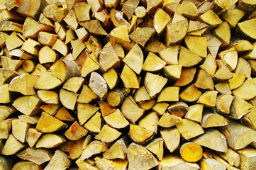 Firewood stacked for winter