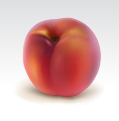 Ripe peach