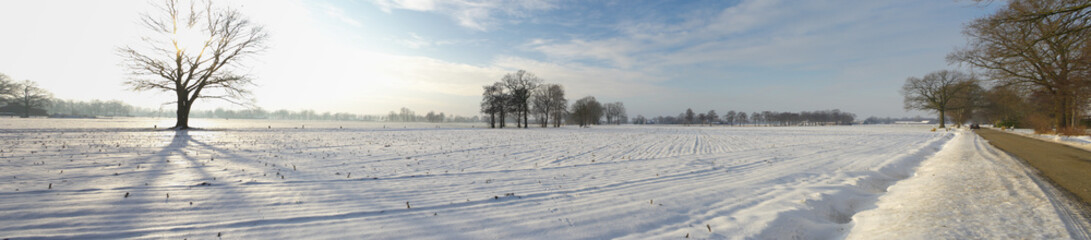 snow landscape
