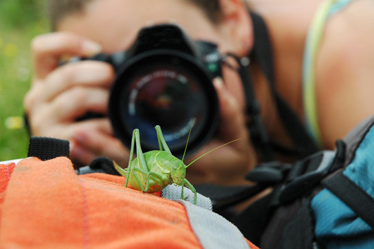 Photographing a grasshopper with a DSLR camera