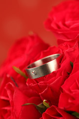 Titanium engagement ring with diamond in red rose