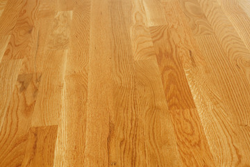 Polished Hardwood Floor