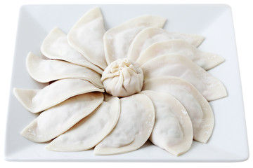 Raw Dumpling
