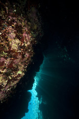 Fototapeta na wymiar Sun rays and coral reef in the Red Sea.