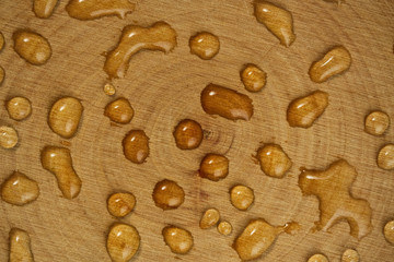 Wooden texture background