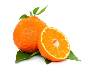 Mandarine