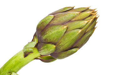 Fototapeta premium Carciofo Close up