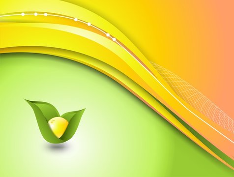 FONDO FRUTO