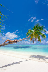 Holiday Paradise