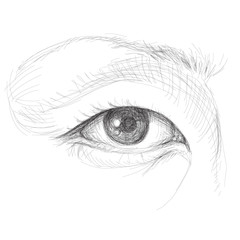 Asian Eye / realistic sketch (not auto-traced) - 29249975