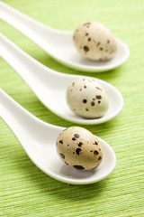 quail eggs on kitchen table