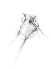 Pen in hand  / realistic sketch - 29250713