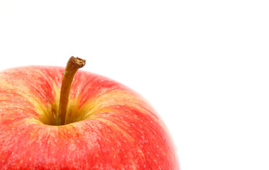 Apfel Makro