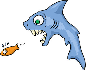 Shark chasing fish