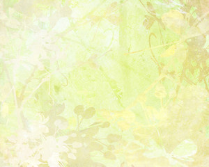 Fototapeta na wymiar Pale Flower Art on Paper Background