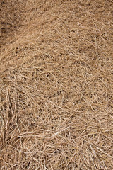 straw heap