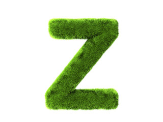 Grass z