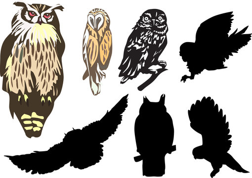 set of seven owls