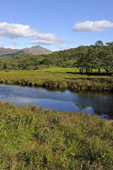 Moel y Dyniewyd from Afon Glaslyn
