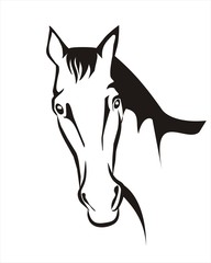 horse icon in simple black lines