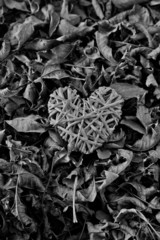 corazón sobre hojas muertas