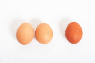 Eier