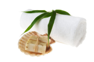 Bar of Natural Rosemary Soap And Seashell over White