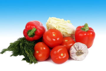 fresh vegetables on the blue background isolated