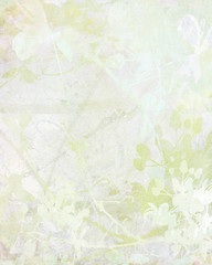 Pale Flower Art on Paper Background