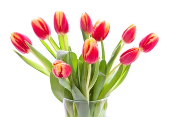 pink-yellow tulips in a vase