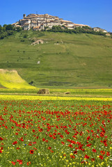 Fototapeta na wymiar Monti Sibillini: Spring Castelluccio di Norcia