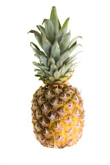 Fototapeta premium Pineapple